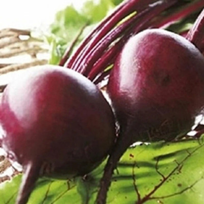 Quentova Organic Red Beauty Beetroot Seed(2000 per packet)