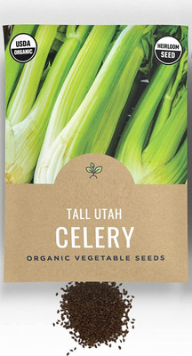 CYBEXIS NBIR-42 - Tall Utah 52/70 Celery - (2250 Seeds) Seed(2250 per packet)