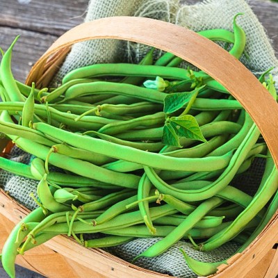 Avysa Bush Beans) , Snap Beans,French Beans Seed(250 per packet)