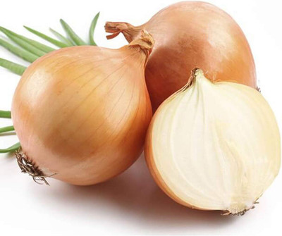 Biosnyg Hybrid Giant Brown Onion Seeds for Terrace Gardening-(750 Seeds) Seed(750 per packet)