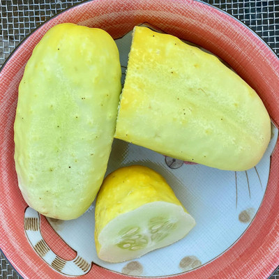 Qualtivate HYB-8A Lemon Cucumber Seeds Seed(300 per packet)