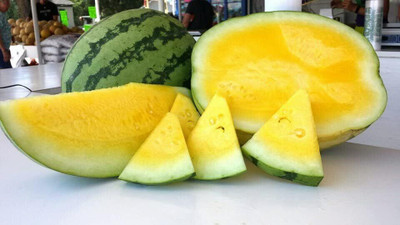 Qualtivate PUAS-9A Yellow Watermelon Seeds Seed(100 per packet)