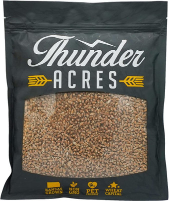 CYBEXIS VXI-2 - Cat Grass Hard Red Winter Wheat - (22500 Seeds) Seed(22500 per packet)