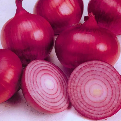 SeedHaven onion fresh Seed(100 per packet)