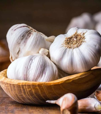 Avysa Garlic Cloves Seed(25 per packet)