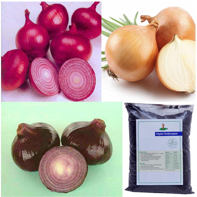 Qualtivate PUA-1A Combo-Onion Red + Onion Gavran + Onion black & vemicompost Seed(500 per packet)