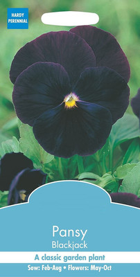 CYBEXIS Pansy Blackjack Seed(50 per packet)