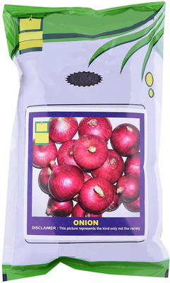 Qualtivate VVI-990 Onion Seeds Seed(1000 per packet)