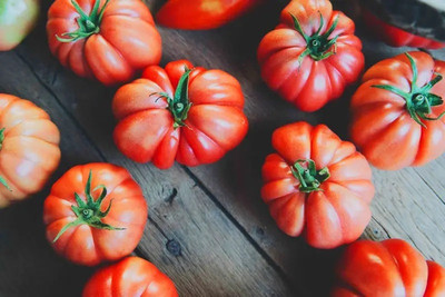 CYBEXIS Monterosa Tomatoes2000 Seeds Seed(2000 per packet)