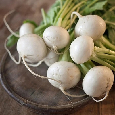 MYLAWN Turnip Seeds - White Egg Seed(2000 per packet)