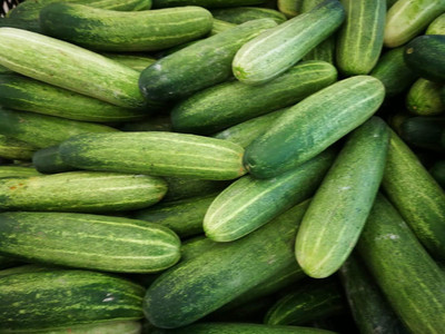 LPR CUCUMBER ,KHIRA Seed(50 per packet)