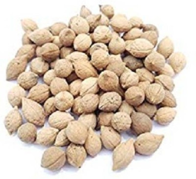 UNIQTRADERS putrajeevak beej - jiya pota seeds - putra jivak beej - putra jeevak beej Seed(250 per packet)