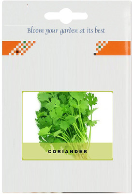 CYBEXIS Dhania/Coriander2800 Seeds Seed(2800 per packet)