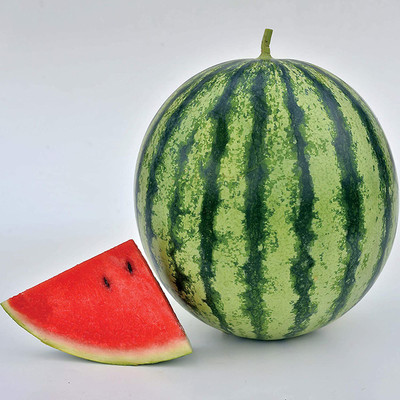 CYBEXIS TLX-58 - Watermelon Mambo Hybrid - (1350 Seeds) Seed(1350 per packet)