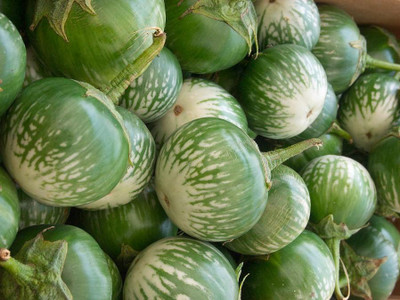 Arshiayat Brinjal Seed(280 per packet)