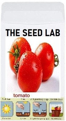 CYBEXIS Organic Vegetable Seeds-Sweet Tomato2000 Seeds Seed(2000 per packet)