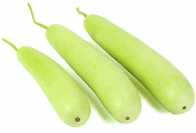 SeeGreen Bottle Gourd Hybird Seeds, Calabash Organic,Lau , lauki Seed(20 per packet)