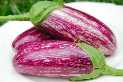 DIVINE BRINJAAL Seed(100 per packet)