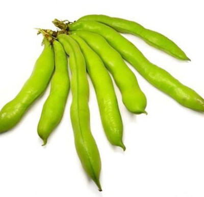 Cloud Farm Fava Beans Seeds Seed(30 per packet)