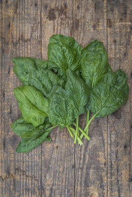 CYBEXIS GBPUT-78 - Bloomsdale Spinach - (750 Seeds) Seed(750 per packet)