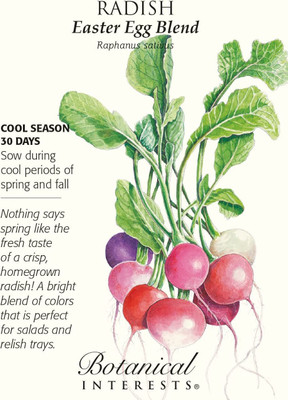 WILLVINE LXI-654 Easter Egg Blend Radish Seeds Seed(500 per packet)