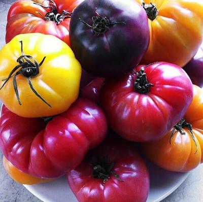 Qualtivate HUA-5A Rainbow Tomato Mix 16 Varieties Seed(300 per packet)