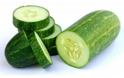 Quentova SUNNY CREEK CUCUMBER SEEDS -QLTY-8S Seed(300 per packet)