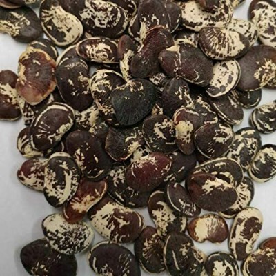 CYBEXIS Seeds of Lima Bean200 Seeds Seed(200 per packet)