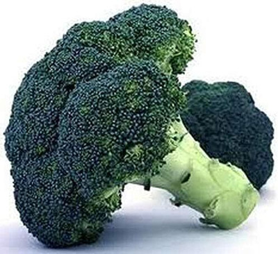 WILLVINE PUAS -X Waltham 29 Broccoli Seeds [25g] Seed(7500 per packet)