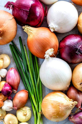 CYBEXIS HUA-14 - Onion Rainbow Mix Neutral - (4500 Seeds) Seed(4500 per packet)
