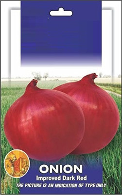 VibeX ® VLR-1036 Onion RED N-53 OP Seed(1000 per packet)
