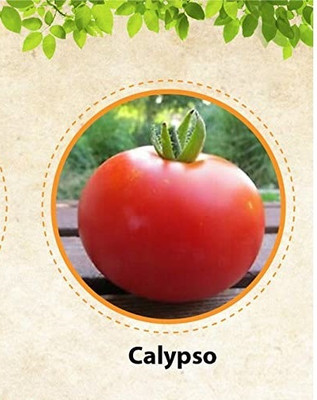 Qualtivate ICRA6-A Calypso tomato Seed(300 per packet)