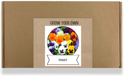 CYBEXIS Pansy Flower Seeds400 Seeds Seed(400 per packet)