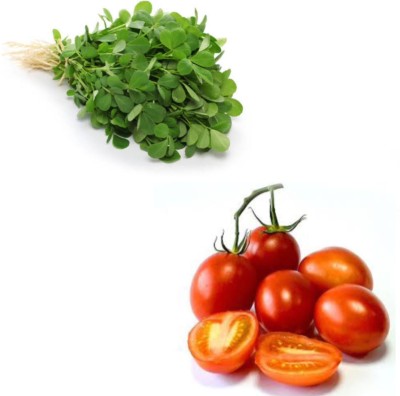 Garden Basket Hubb Methi( Fenugreek)-Tomato Seed(100 g)