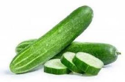 greenfarm XIVV - Long Cucumber Seeds Khira Seeds ( 180 X Seeds ) a95 Seed(180 per packet)