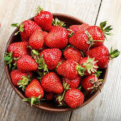 XOLDAA HYBRID STRAWBERRY FRUIT SEEDS Seed(131 per packet)
