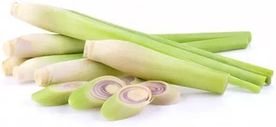 Quentova लेमन ग्रास/Lemon grass (Cymbopogon citratus)-VXL-8U Seed(25 per packet)