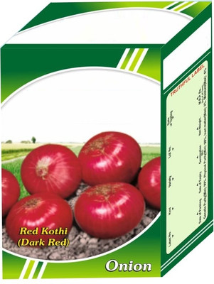 Qualtivate ICRA-9A Red Kothi Onion Seeds Seed(500 per packet)