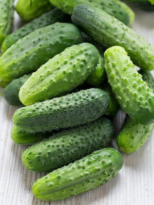 CRGO CUCUMBER , KHEERA Seed(100 per packet)