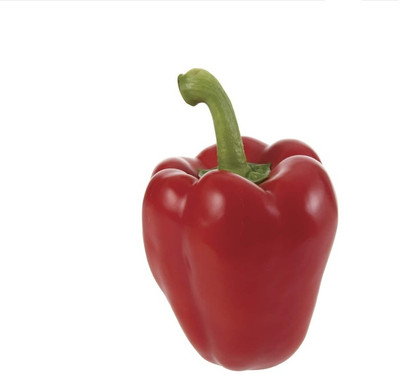 VASUDHA Organic Red Capsicum Seed(100 per packet)