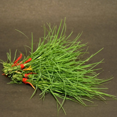 N.G.M. AGROCARE Indian Durva Grass Seed(10 g)
