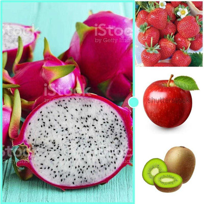 Oliver apple,litchi,kiwi,dragon fruit seeds Seed(57 per packet)