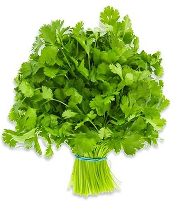 LPT HARA DHANIYA Seed(50 per packet)