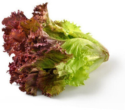 Mozette Organic red lettuce Seed(41 per packet)