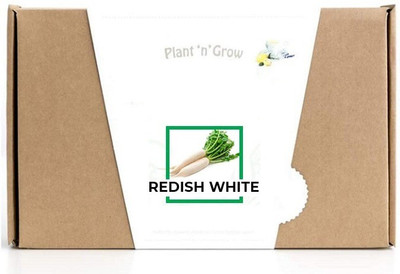 CYBEXIS Redish White2000 Seeds Seed(2000 per packet)