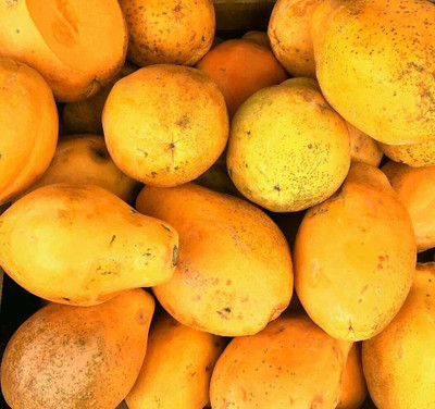 Farmonix Florida Red Royale Papaya Seeds Seed(20 per packet)