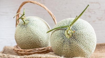 VibeX LX-98 - Madhuraja/मधुराजा Hybrid Muskmelon - (1350 Seeds) Seed(1350 per packet)