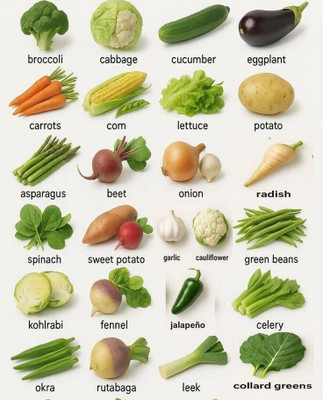 jungli 13 Types of Vegetables seeds COMBO pack, for home garden mix vegetables Seed(1040 per packet)
