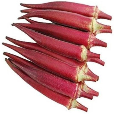 wequality hybrid red lady finger seeds/ladies finger seeds 69 Seed(69 per packet)