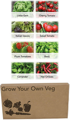 CYBEXIS 8 Varities for Planting Heirloom Seed(10 g)
